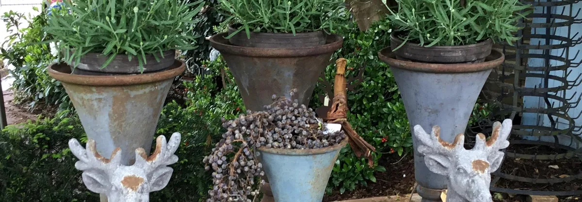 Foto van Zomerse zondag met brocante en vintage